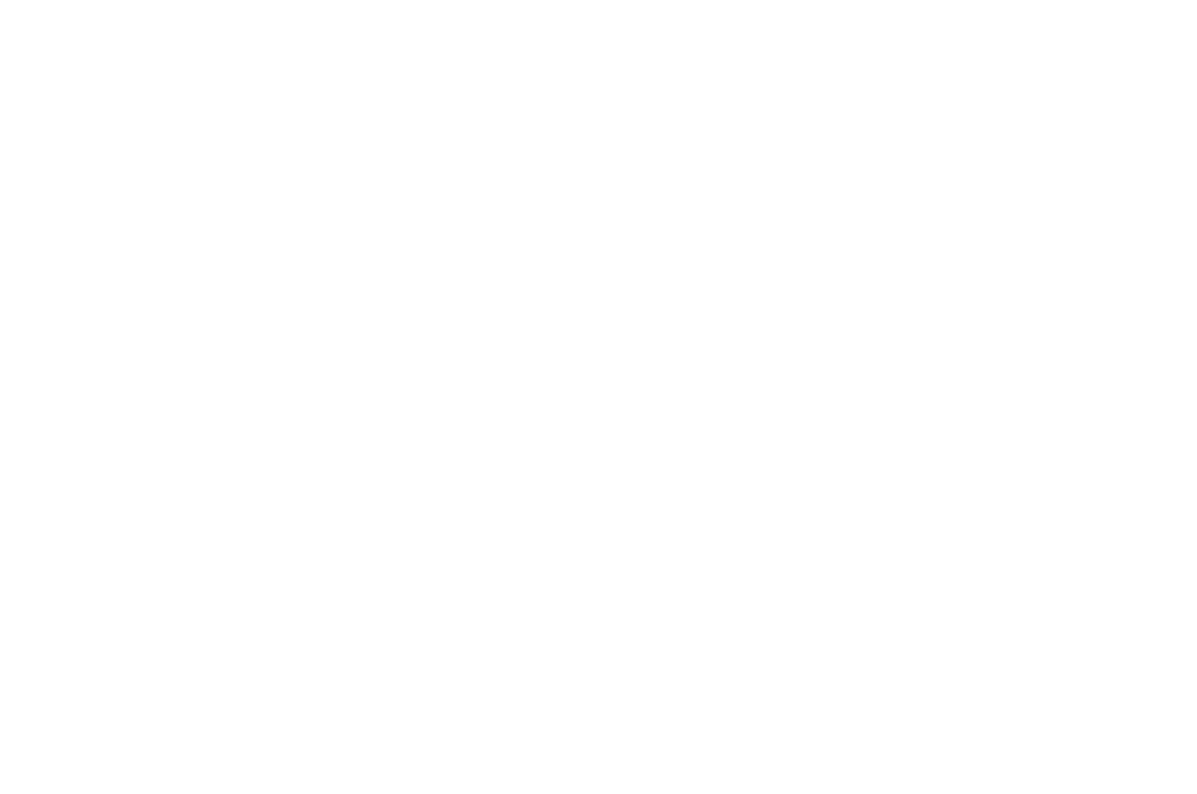 CPA Inc.